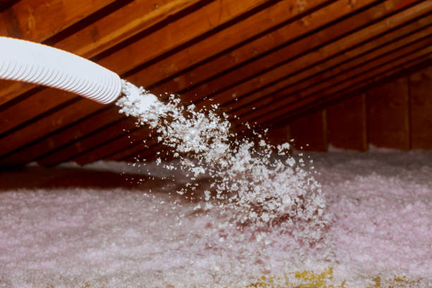 Best Cellulose Insulation in Northlake, TX