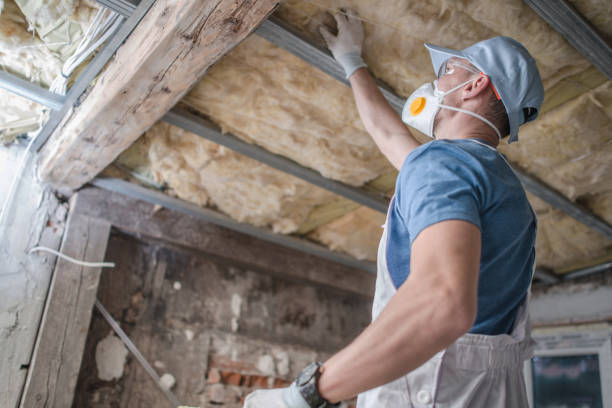 Best Residential Insulation in Northlake, TX