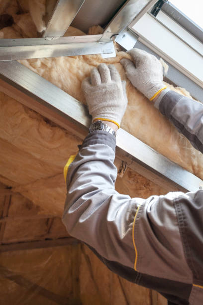 Best Geographic-Specific Insulation Services in Northlake, TX